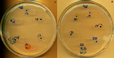 Walleye Autochthonous Bacteria as Promising Probiotic Candidates against Flavobacterium columnare